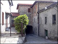 apella (13).JPG