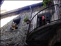 taponecco (13).JPG