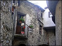 taponecco (15).JPG