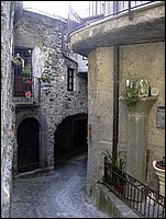 taponecco (16).JPG