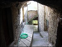 taponecco (36).JPG