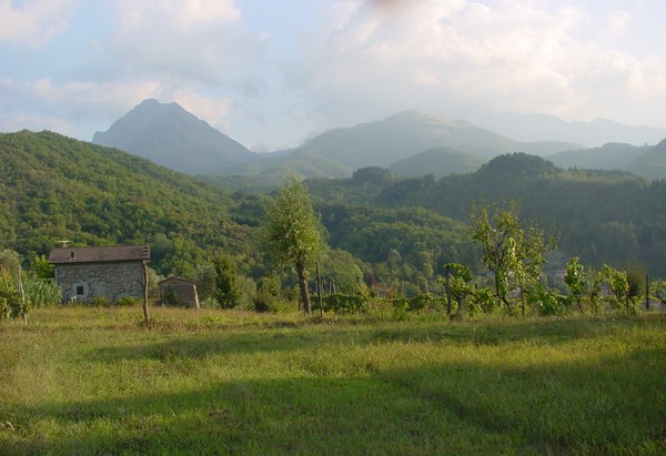 DSC00026.JPG