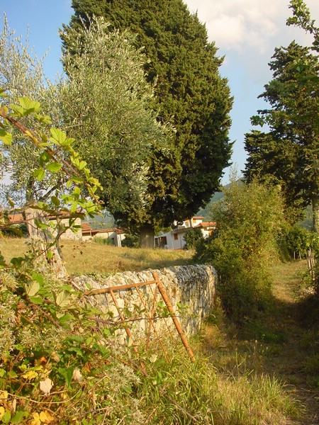 DSC00028.JPG