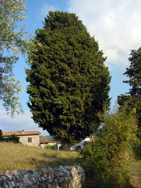 DSC00029.JPG