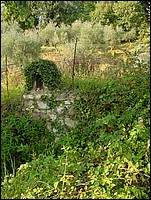 DSC00012.JPG