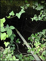DSC00020.JPG