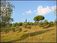 DSC00030.JPG