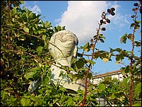 DSC00033.JPG