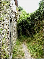 argigliano 028.jpg