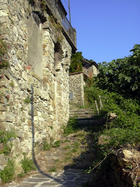 bagnone 022.jpg