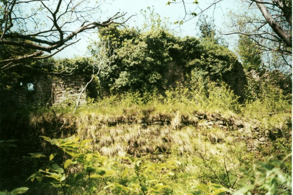 mura1.jpg