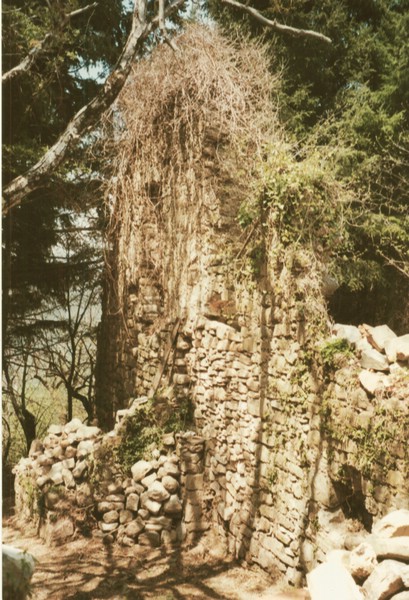 rovine3.jpg