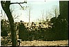 rovine4.jpg