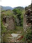 bergiola (3).jpg