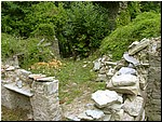 bergiola (9).jpg