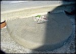 casciana (28).JPG