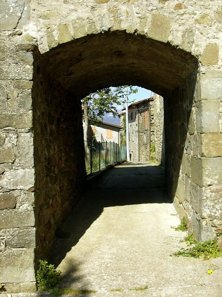 castagnola di minucciano 011.jpg