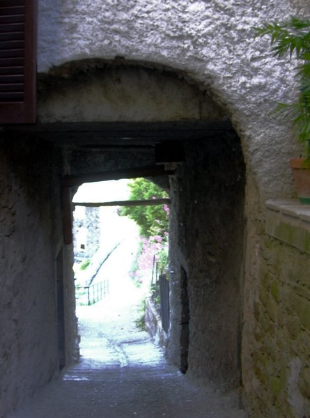 castagnola di minucciano 058.jpg