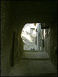 castagnola di minucciano 056.jpg