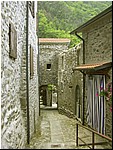 equi 016.jpg