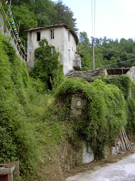 Antiche maestà (226).jpg