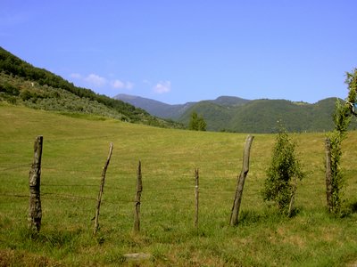 pieve di offiano (6).jpg