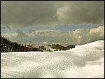 neve2005 007.jpg