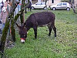 renzano 021.jpg