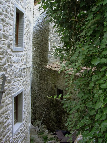 DSCN0449.JPG