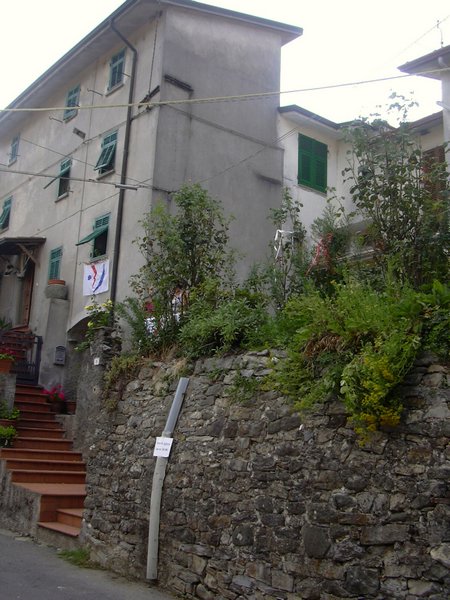 Immagine 154.jpg
