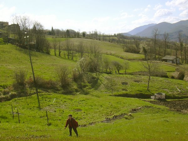 petrognola.jpg