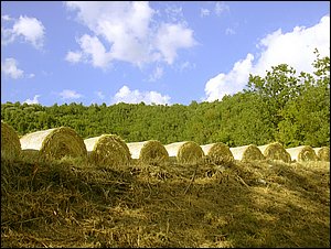 antognano 012.jpg
