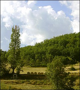 antognano 018.jpg