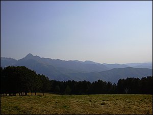 argegna1.jpg