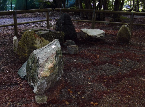 DSCN0310.JPG