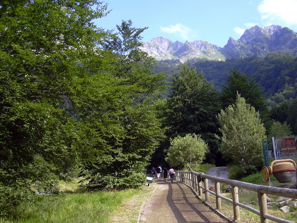 DSCN0329.JPG
