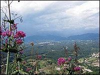 bibola 069.jpg