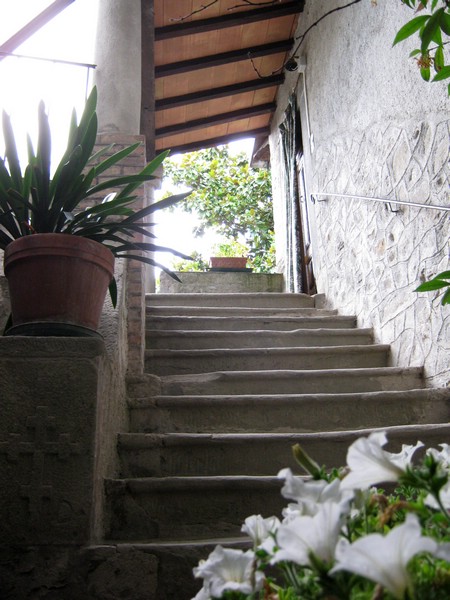 casola2011 099.jpg