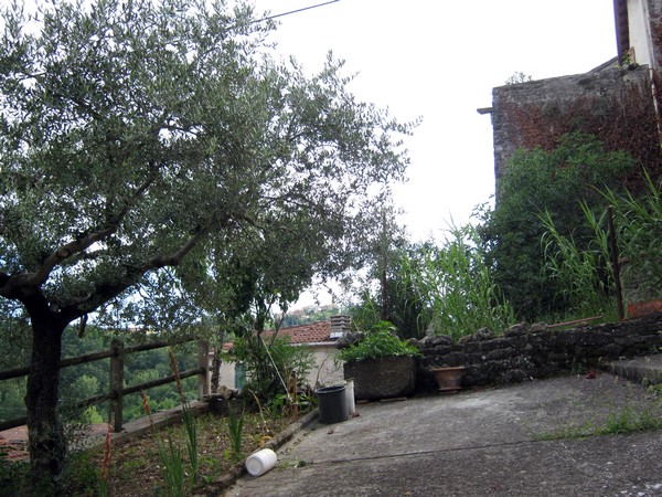 rometta 016.jpg
