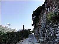 tenerano (41).jpg