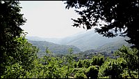 pieve di viano (15).jpg