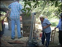 trebbiatura (48).jpg