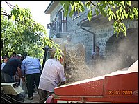 trebbiatura (6).jpg