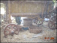 trebbiatura (7).jpg