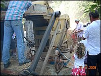 trebbiatura (9).jpg