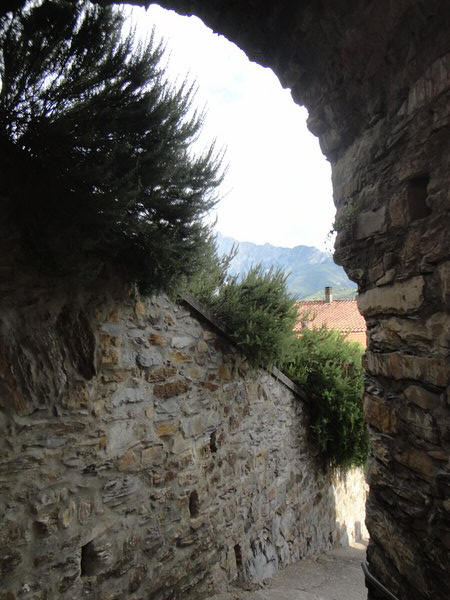 DSC02019.JPG