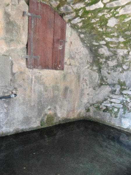 DSC02023.JPG