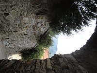 DSC02019.JPG