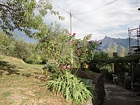 DSC02024.JPG