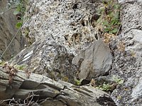 DSC02038.JPG